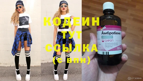 гашик Абаза