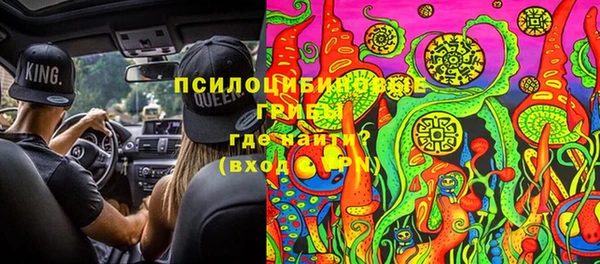 гашик Абаза